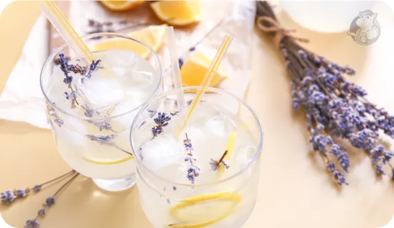 lemoniada cytrynowa z dodatkiem lawendy